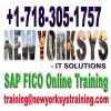 SAP-FICO-Online-Training-at-FICOTraining-com